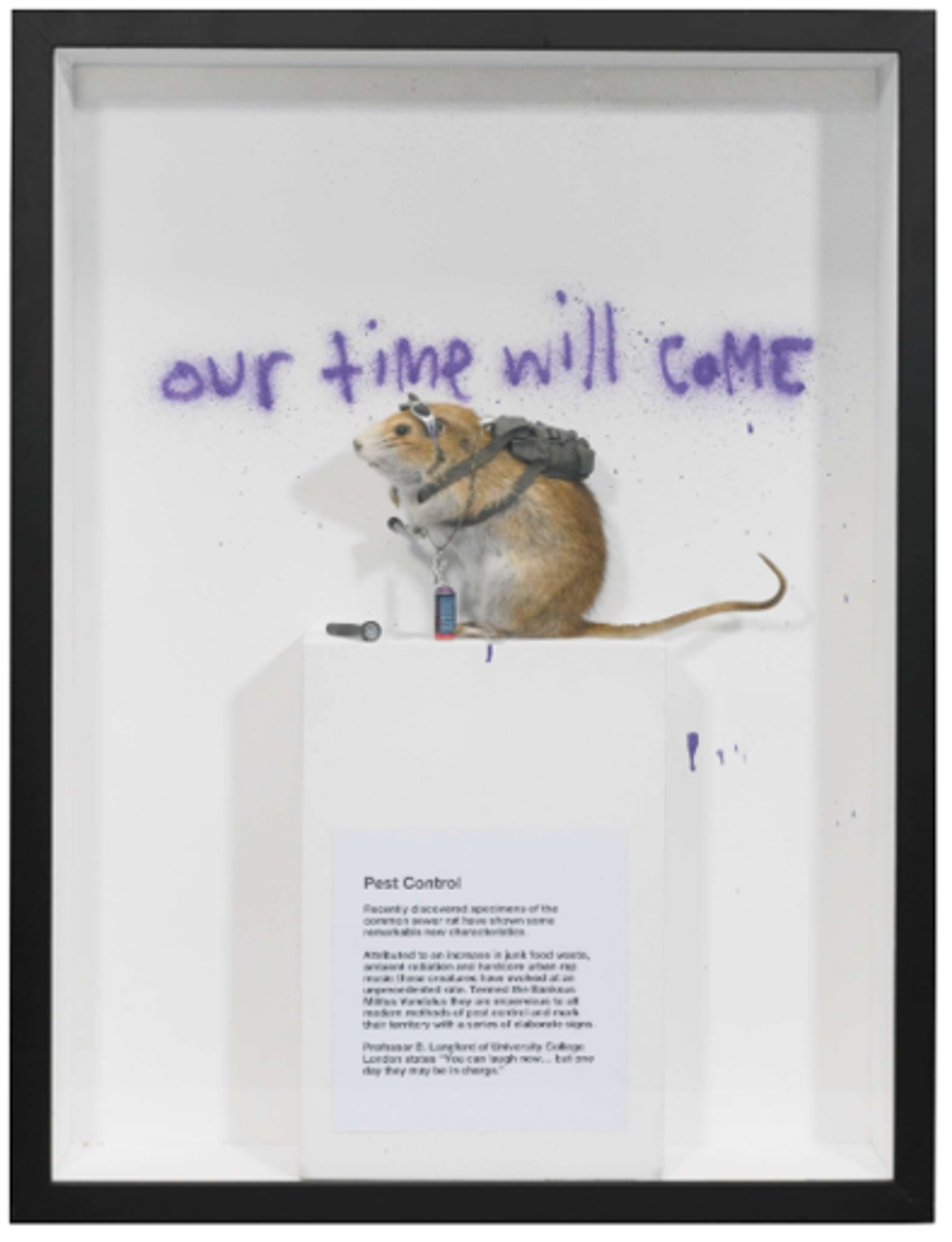 Banksy's Banksus Militus Vandalus. A spray paint work of a taxidermy rat on a podium with text beneath it and the text "our time will come" above it.