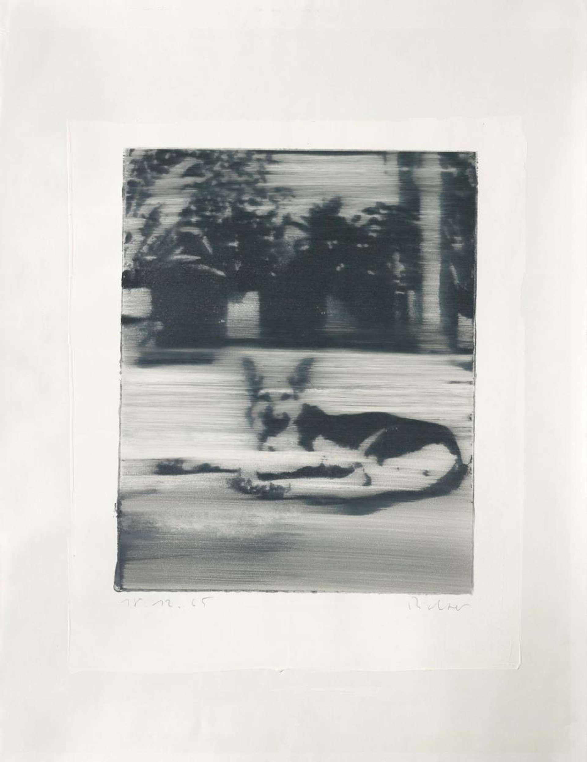 Hund - Signed Print by Gerhard Richter 1965 - MyArtBroker