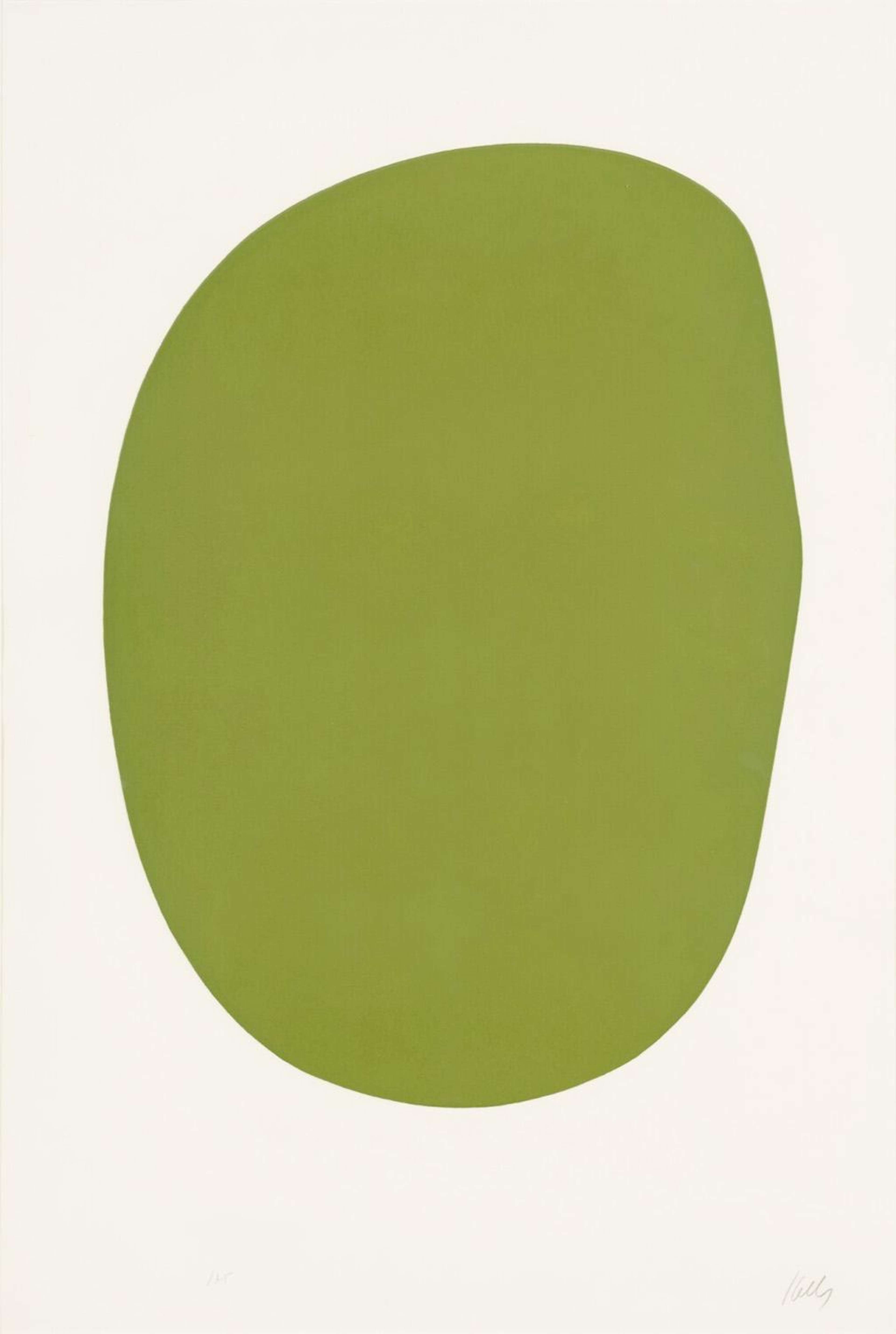 Green - Signed Print by Ellsworth Kelly 1965 - MyArtBroker