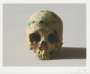 Damien Hirst: Studio Skull - Signed Print