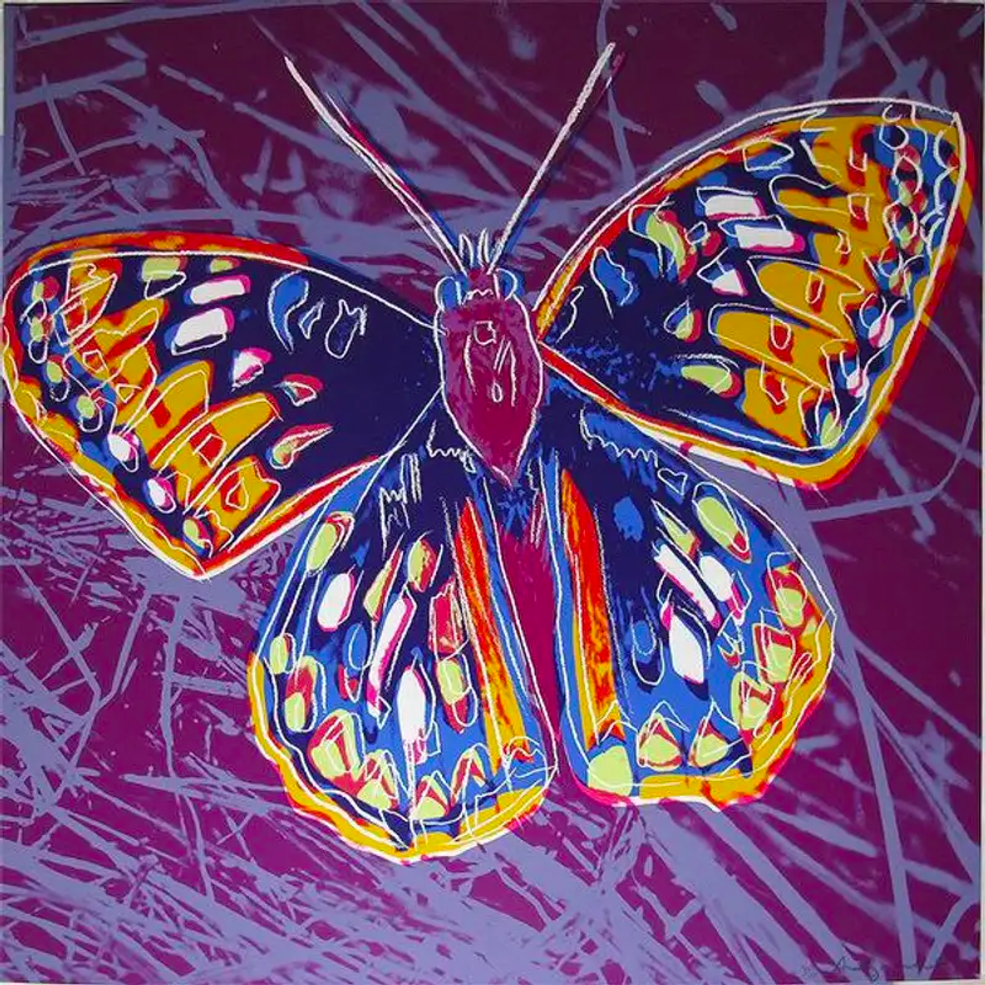 Vibrant Andy Warhol butterfly screenprint on magenta background from the endangered species series.