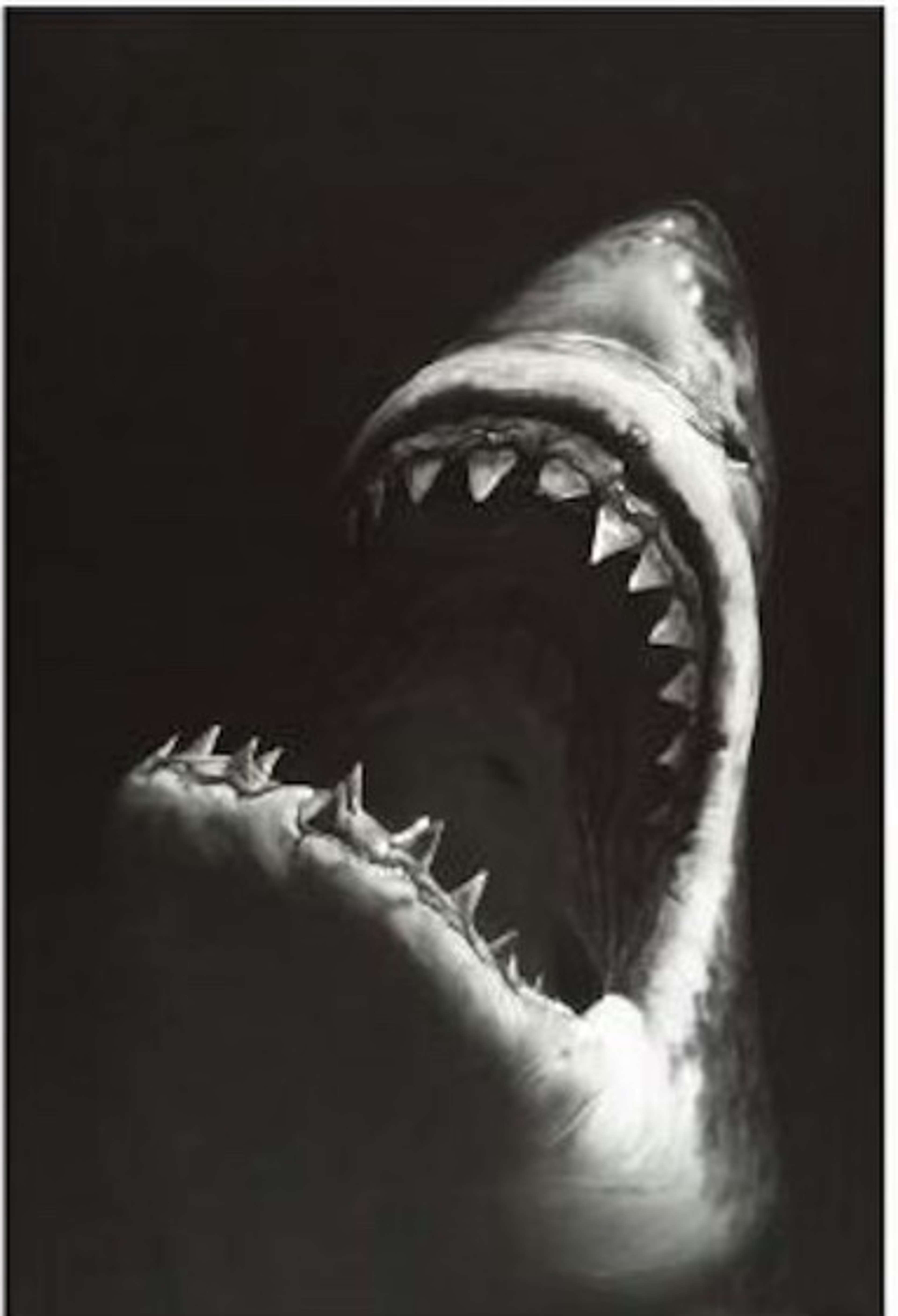 Untitled (Shark 7) by Robert Longo - Galerie Kornfeld Auktionen AG