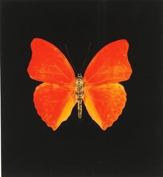 Memento by Damien Hirst Meaning, Analysis & Auction Results