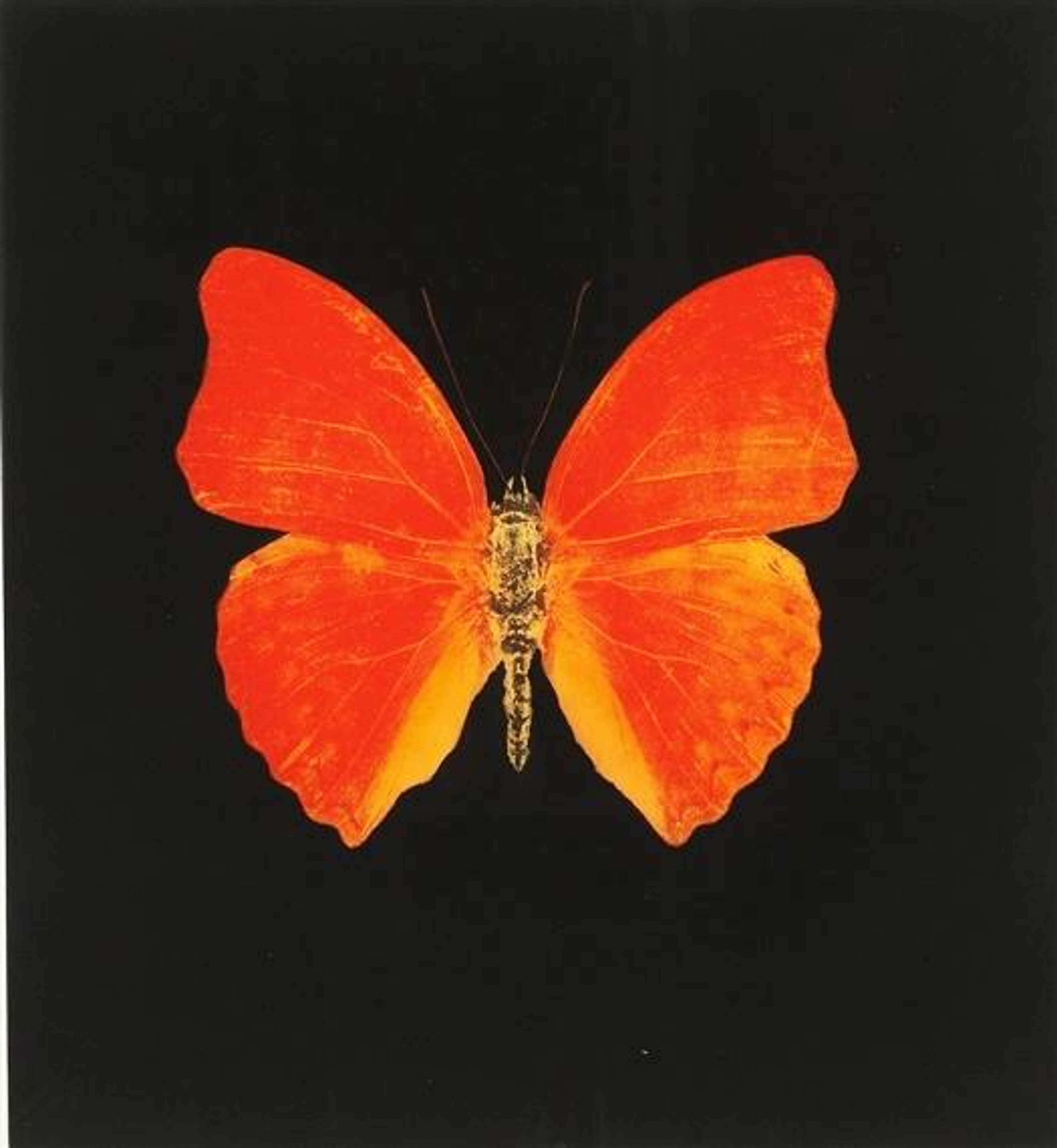 Memento 3 - Signed Print by Damien Hirst 2008 - MyArtBroker