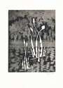 Mark Tobey: Movement In White - Signed Print