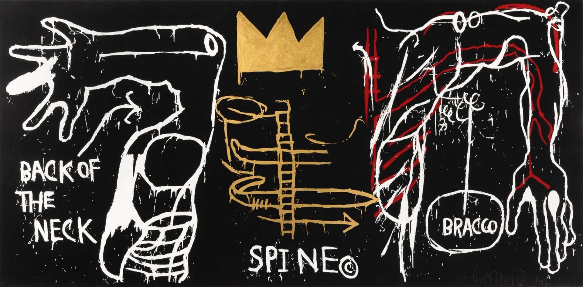 A screenprint by Jean-Michel Basquiat showing anatomical studies in white ink against a black background, with a spine depicted in yellow-gold with a crown at the top centre of the composition.