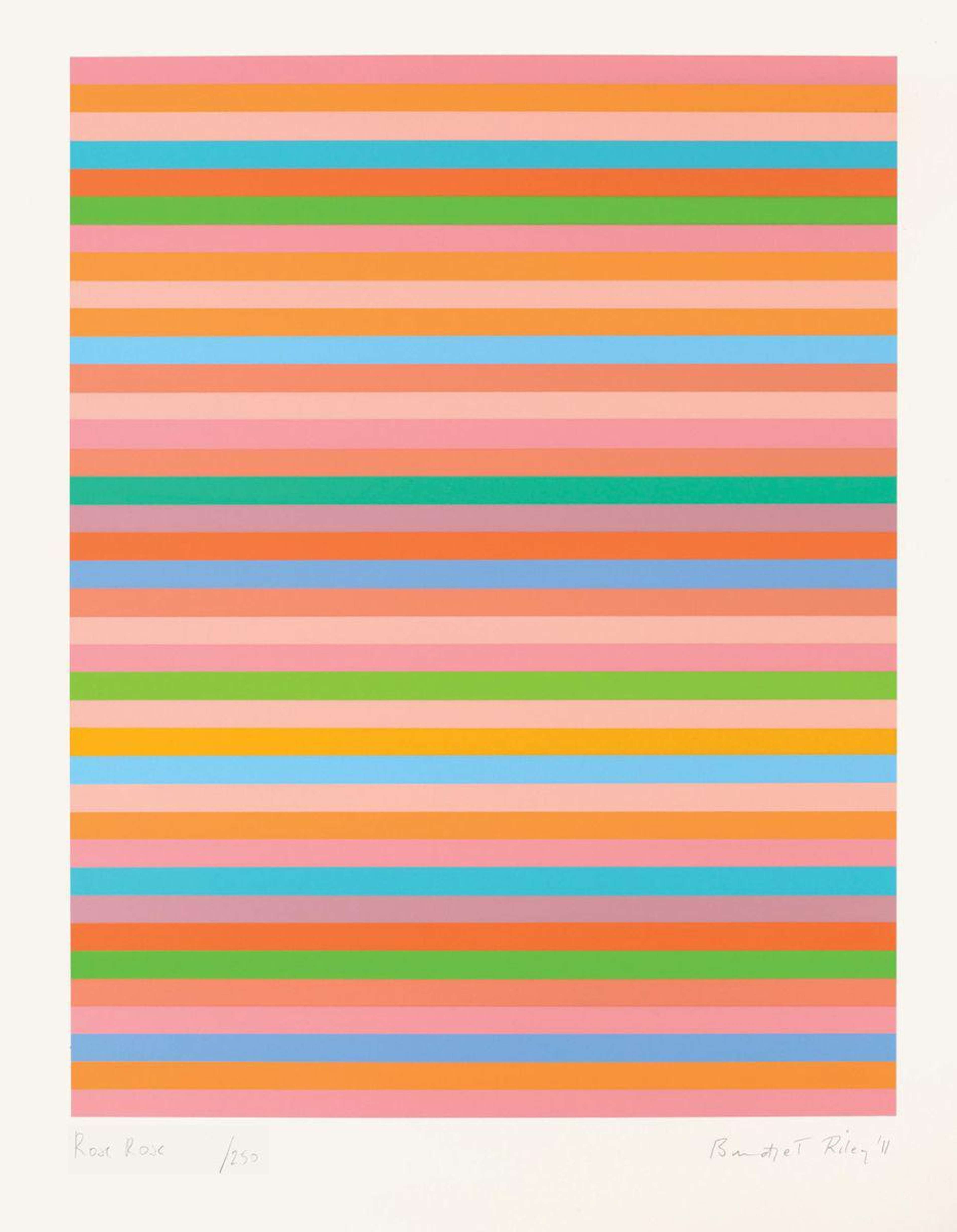 Bridget Riley’s Rose Rose. An optical illusion of multi-coloured horizontal stripes.  