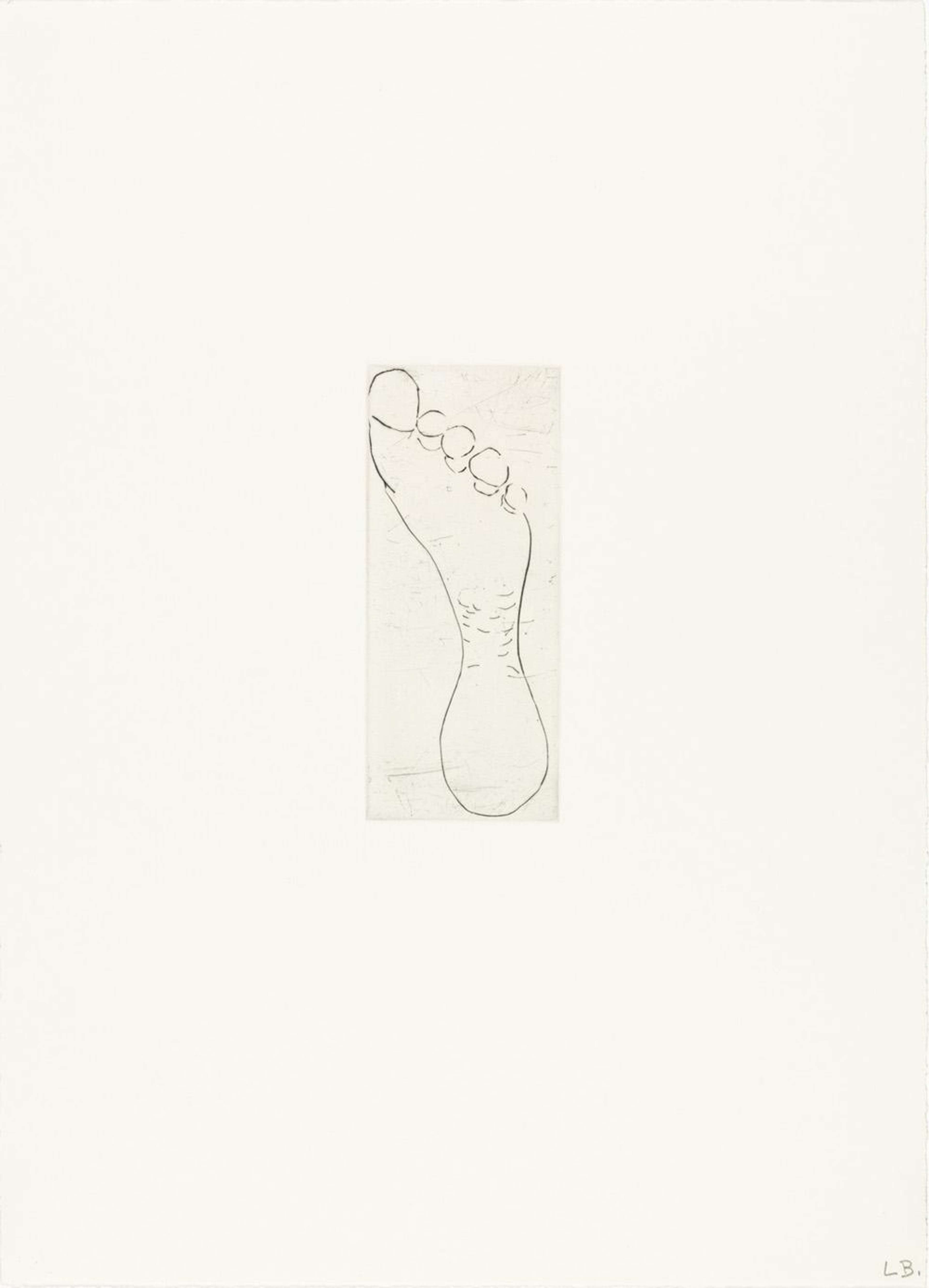 Louise Bourgeois Untitled No. 9. A monochromatic etching of an anatomical depiction of the posterior view of a foot.