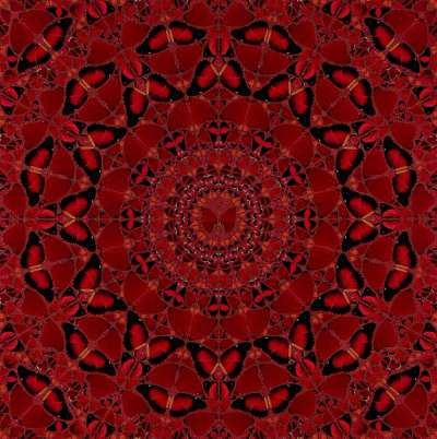 H10-4 Suiko - Signed Print by Damien Hirst 2022 - MyArtBroker
