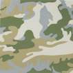 Camouflage (F. & S. II.407) - Signed Print