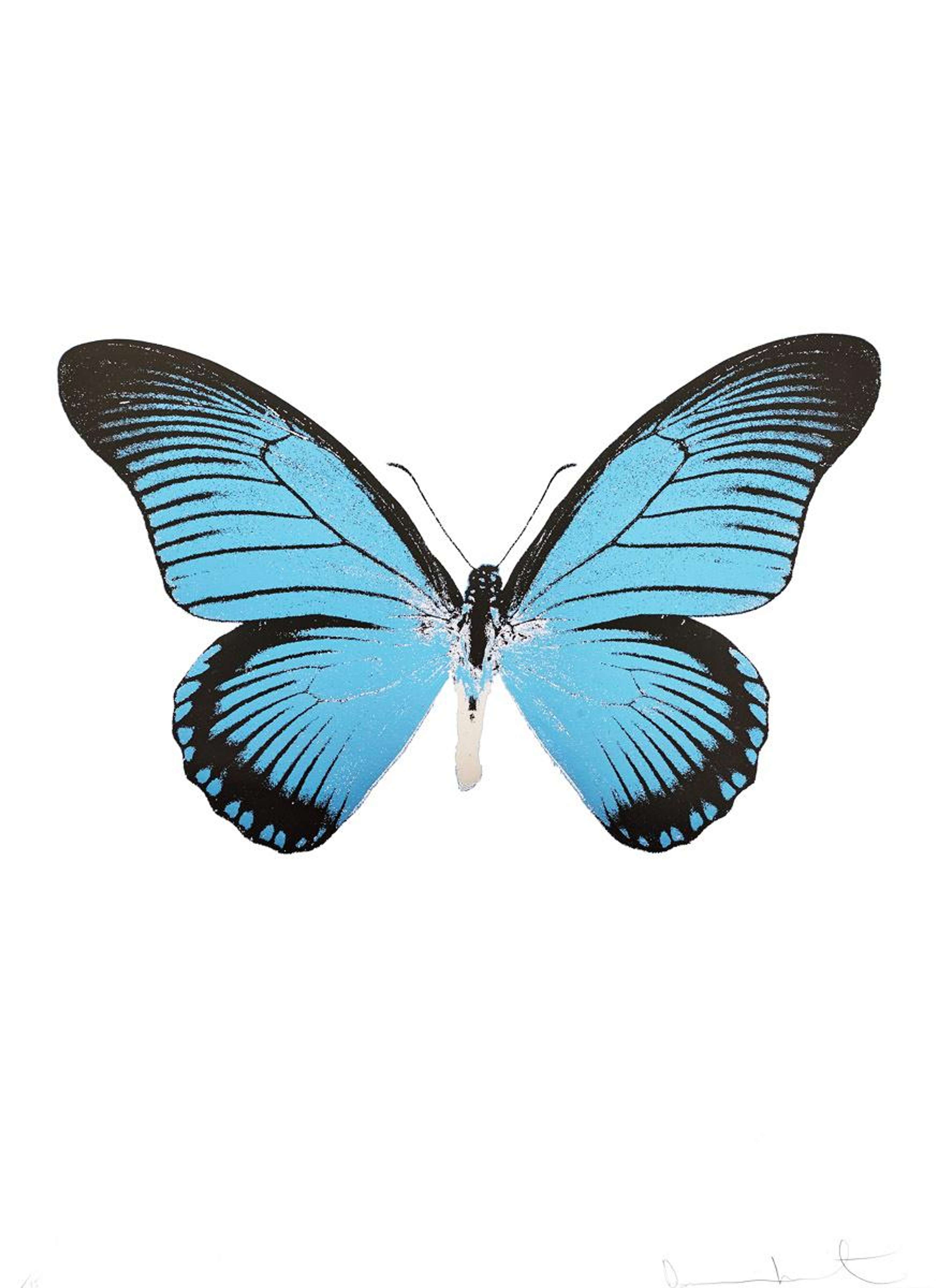 The Souls IV (turquoise, burgundy, silver gloss) - Signed Print by Damien Hirst 2010 - MyArtBroker