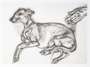 Lucian Freud: Pluto Aged Twelve - Signed Print