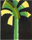 Night Palm - Signed Print