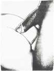 Sex Parts (F. & S. II.174) - Signed Print