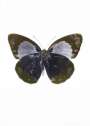 Damien Hirst: The Souls II (silver gloss, oriental gold) - Signed Print
