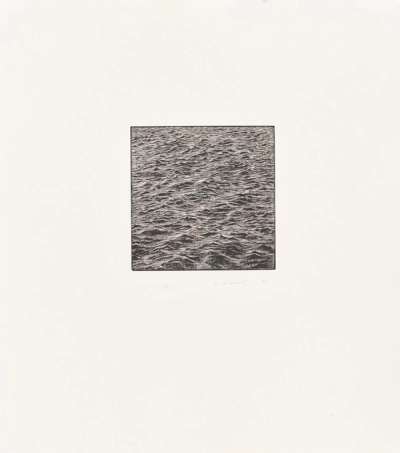 Untitled (Wood Engraving) - Signed Print by Vija Celmins 1995 - MyArtBroker