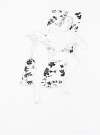 Erotic Prints