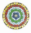 Quare Fremuerunt Gentes (diamond dust) - Signed Print