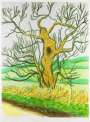David Hockney: The Arrival Of Spring In Woldgate, East Yorkshire In 2011 (twenty eleven) - 22 March - Signed Print