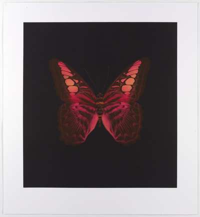 Memento 1 - Signed Print by Damien Hirst 2008 - MyArtBroker