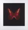 Damien Hirst: Memento 1 - Signed Print