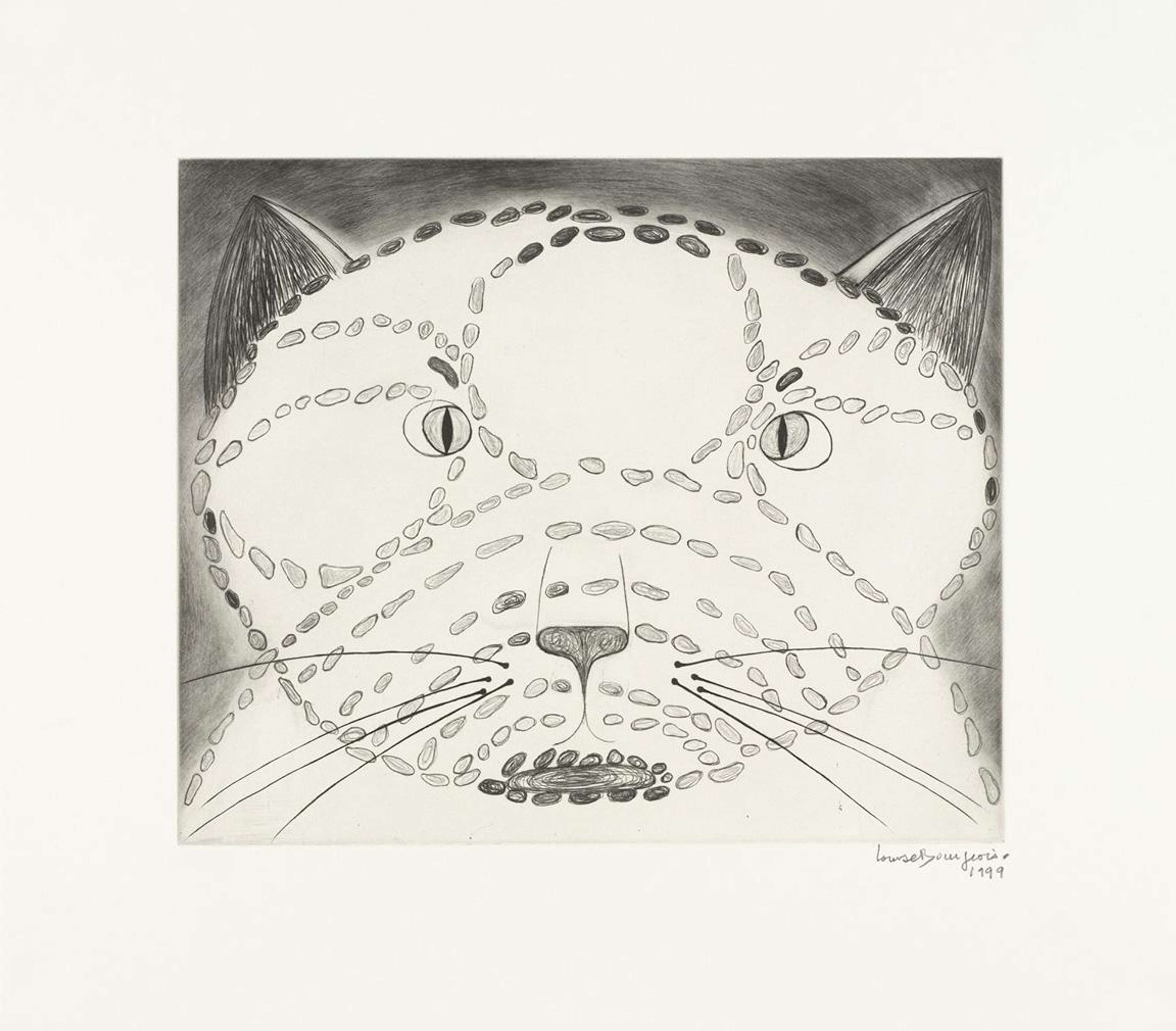 « The Angry Cat » de Louise Bourgeois. Une estampe en pointe sèche représentant le visage d'un chat, en gros plan.