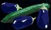 Still Life With Aubergines And Cucumber - Signed Print