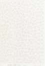 Yayoi Kusama: Infinity Nets (TW) - Signed Print