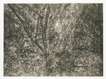 The Painter's Garden - Signed Print