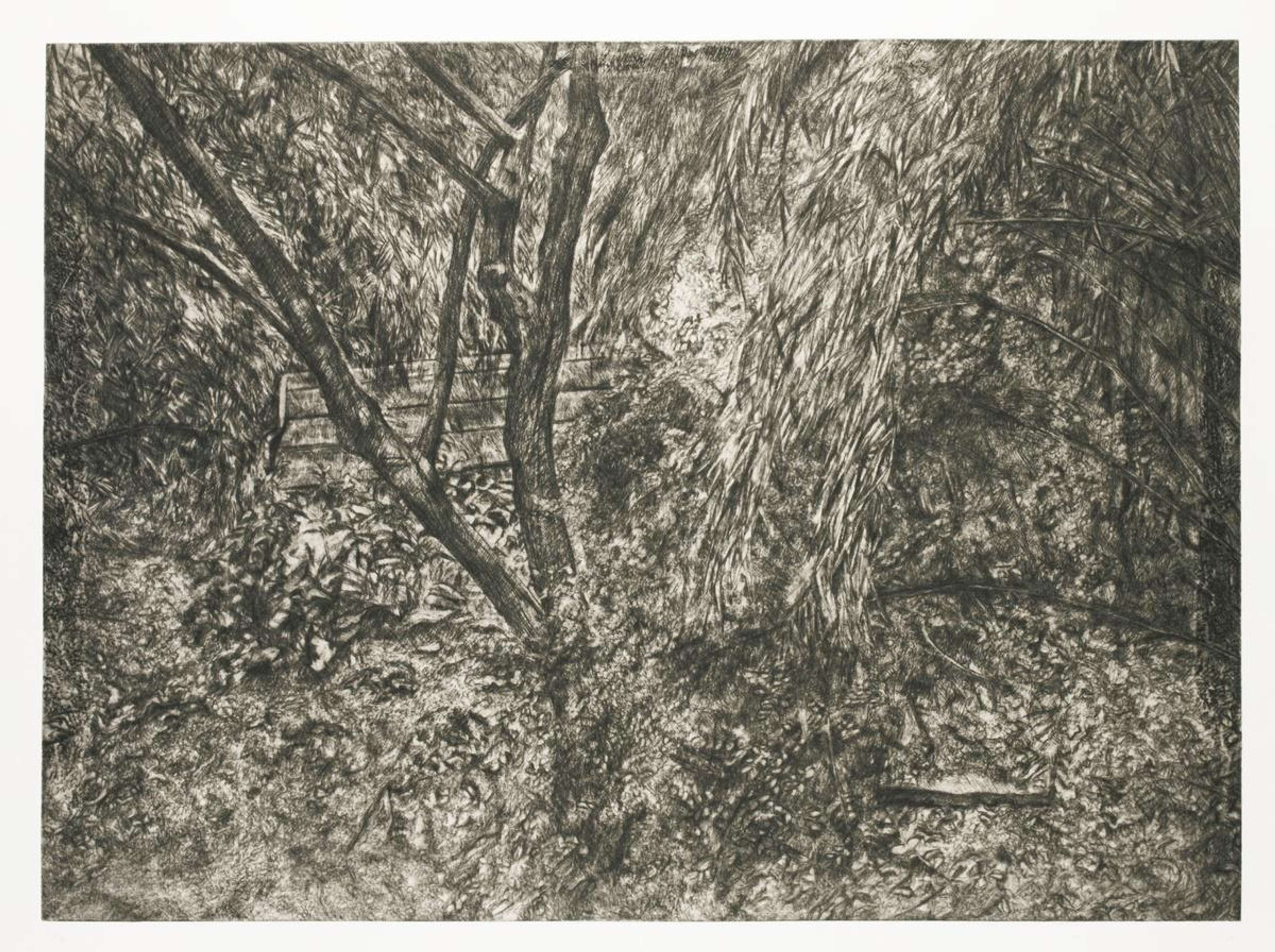 Une eau-forte représentant une scène de jardin luxuriante, avec un feuillage dense et des fleurs exécutés dans le style caractéristique de Freud. L'image présente un entrelacs de plantes et de feuilles, créant une sensation de profondeur et de texture grâce à un travail de lignes complexe.