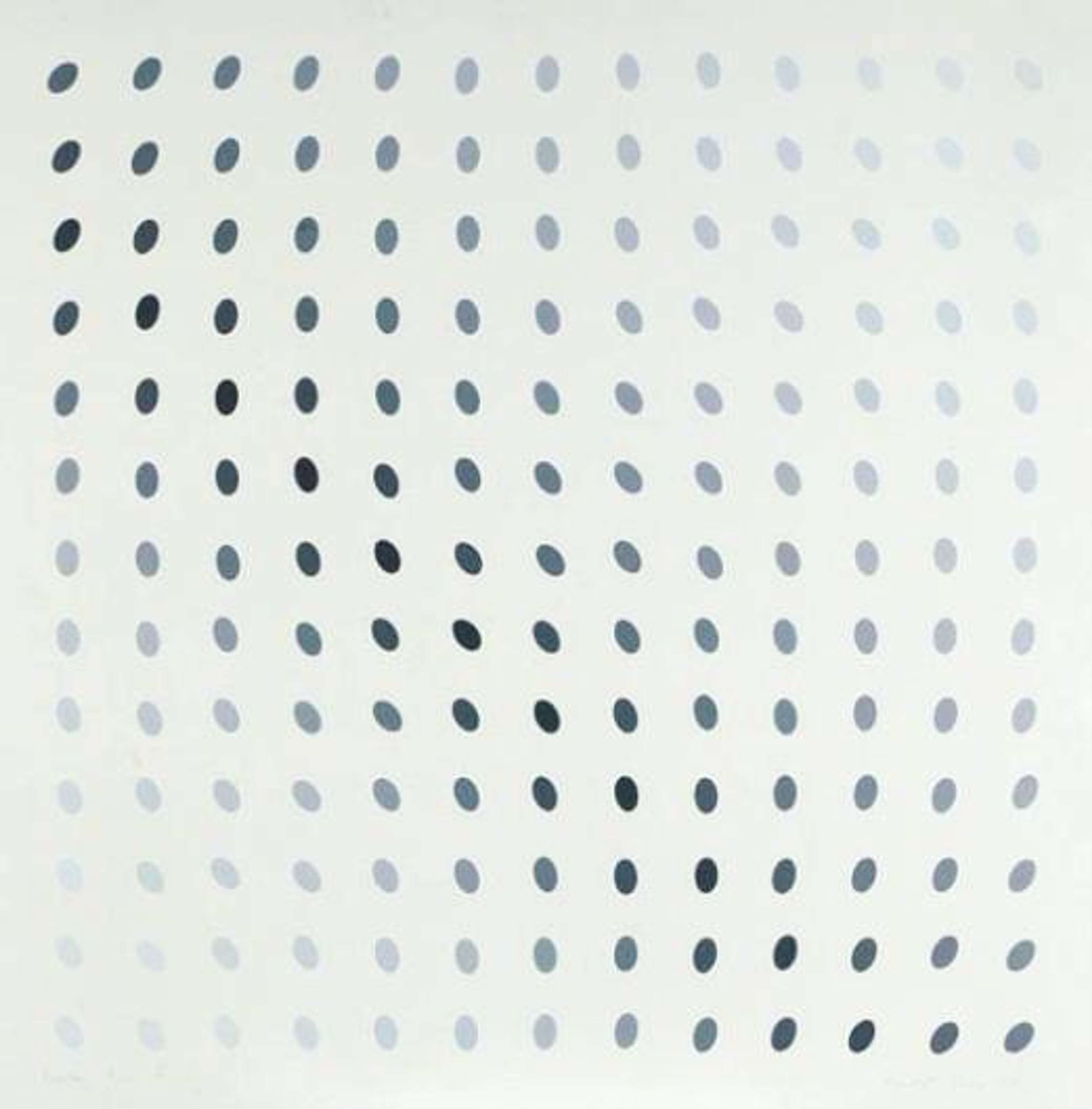 Nineteen Greys B by Bridget Riley