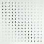 Bridget Riley: Nineteen Greys B - Signed Print
