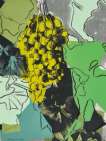 Grapes (F. & S. II.191) - Signed Print