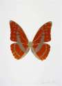 Damien Hirst: The Souls III (prairie copper, smoke, cool gold) - Signed Print