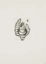 Louise Bourgeois: Untitled No. 12 - Signed Print