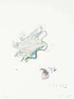 Ficus Carica - Signed Print