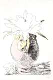 Flowers (F. & S. II.114) - Signed Print