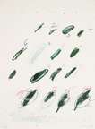 Fagus Silvatica - Signed Print