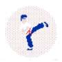 Invader: Kung Fu - Signed Print