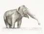 Henry Moore: Elephant - Signed Print