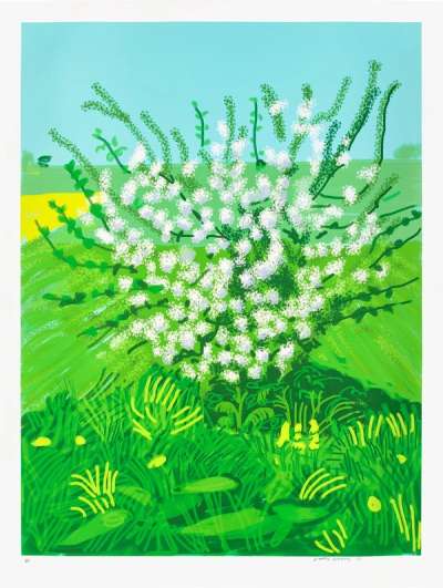 The Arrival Of Spring In Woldgate, East Yorkshire In 2011 (twenty eleven) - 30 April - Signed Print by David Hockney 2011 - MyArtBroker