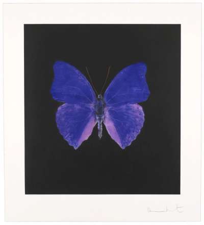 The Souls On Jacobs Ladder 5 - Signed Print by Damien Hirst 2007 - MyArtBroker
