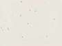 Ed Ruscha: Pearl Dust Combination - Signed Print