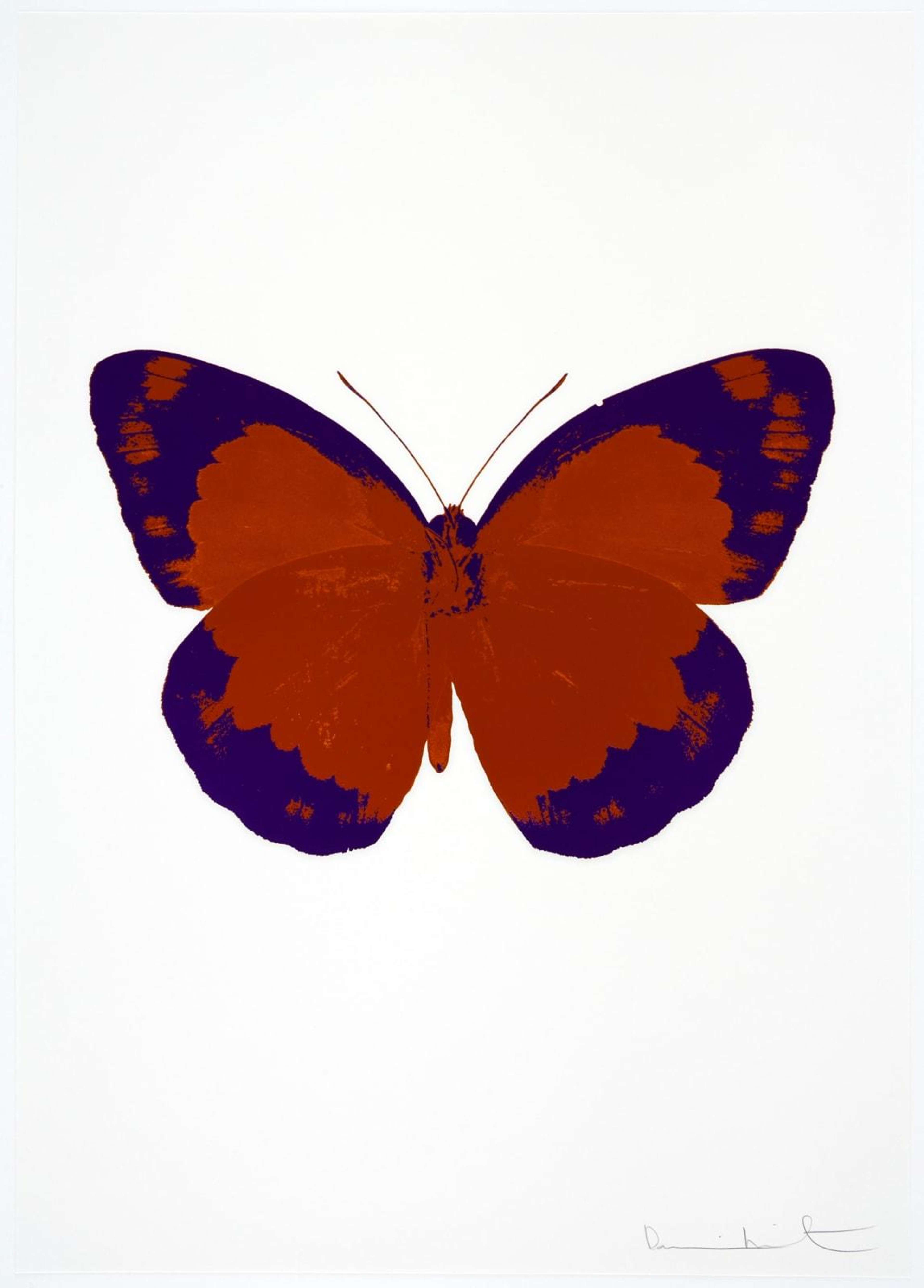 The Souls II (prairie copper, imperial purple, blind impression) - Signed Print by Damien Hirst 2010 - MyArtBroker