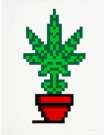 Hollyweed (red) - Signed Print