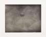 Vija Celmins: Untitled (Web 3) - Signed Print