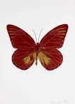 The Souls I (chilli red, oriental gold) - Signed Print