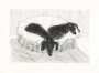 David Hockney: Dog Etching No. 1 - Signed Print
