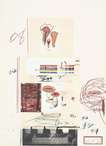 Plate V (from Natural History Part I - Mushrooms) - Signed Print