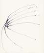 Louise Bourgeois: The Fragile 13 - Signed Print